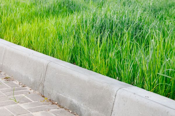 Cost of Curb Removal in Greeley